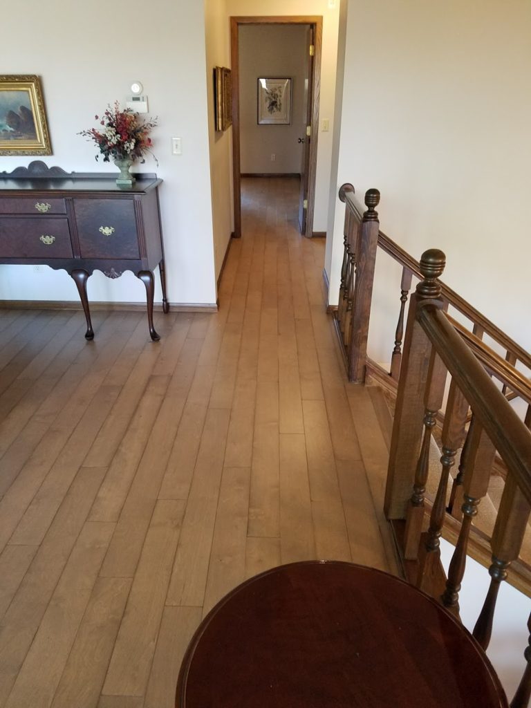 Home Remodel in Little Canada