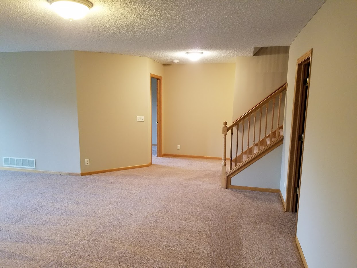lower level carpet